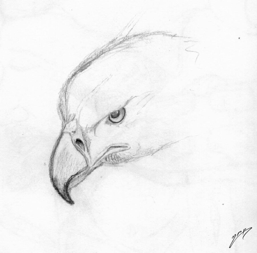 Eagle