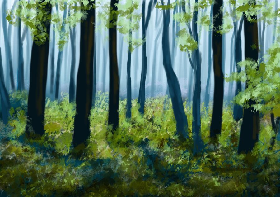 Foresft – Chen Bachar