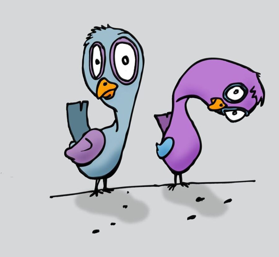 Pigeons